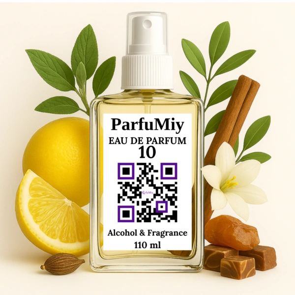Чоловічі парфуми ParfuMiy №10 (аромат схожий на Black XS)